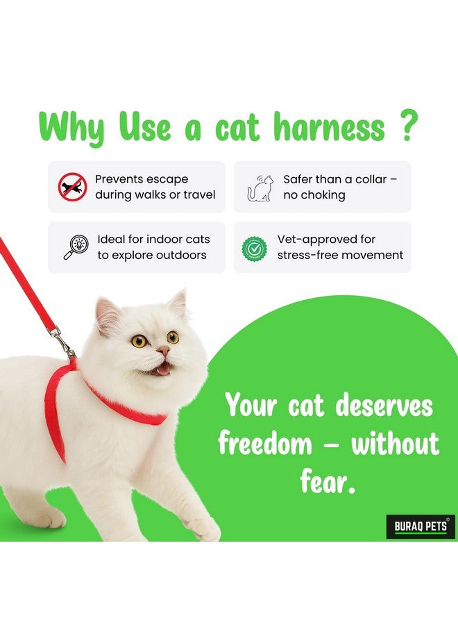 Buraq Basic Full Body Cat Harness with Leash Set for Walking | Escape Proof | Adjustable & Durable for Cats (Red) - Image 2