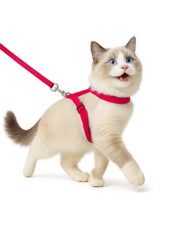Buraq Basic Full Body Cat Harness with Leash Set for Walking | Escape Proof | Adjustable & Durable for Cats (Red) - Image 1