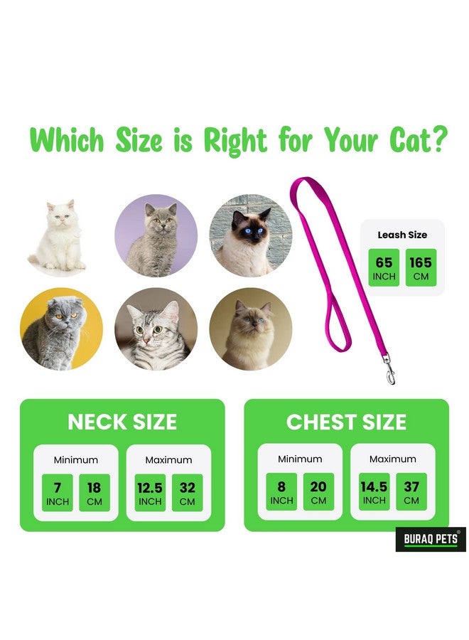 Buraq Basic Full Body Cat Harness with Leash Set for Walking | Escape Proof | Adjustable & Durable for Cats (Red) - Image 5