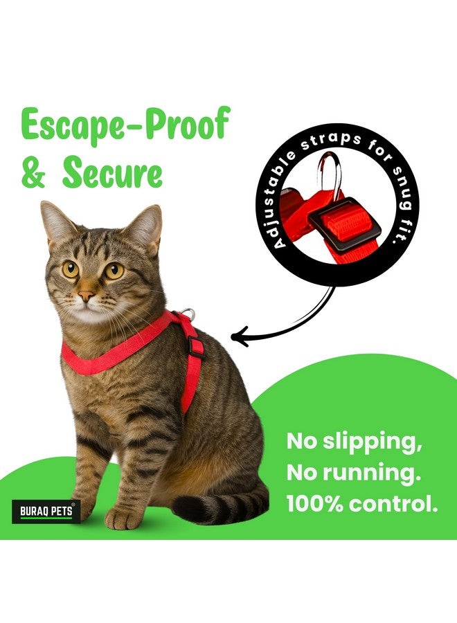 Buraq Basic Full Body Cat Harness with Leash Set for Walking | Escape Proof | Adjustable & Durable for Cats (Red) - Image 4