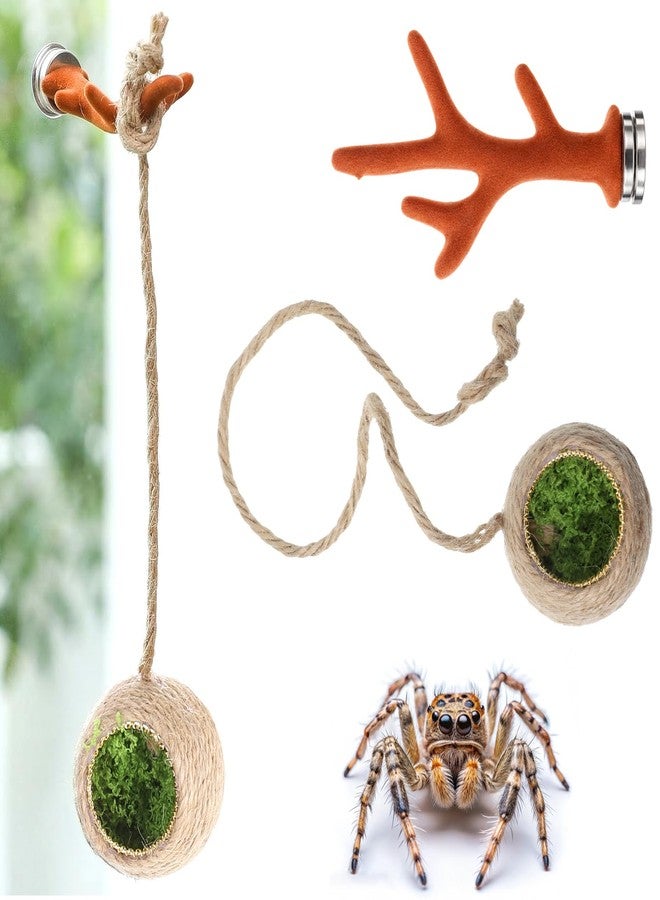 Psiriol Pet Spiders Hideout Nest, Jumping Spider Hide, Jumping-Spider Hide Enclosure Habitat with Decoration Antler, Jumping Spider Enclosure Accessories - Image 1