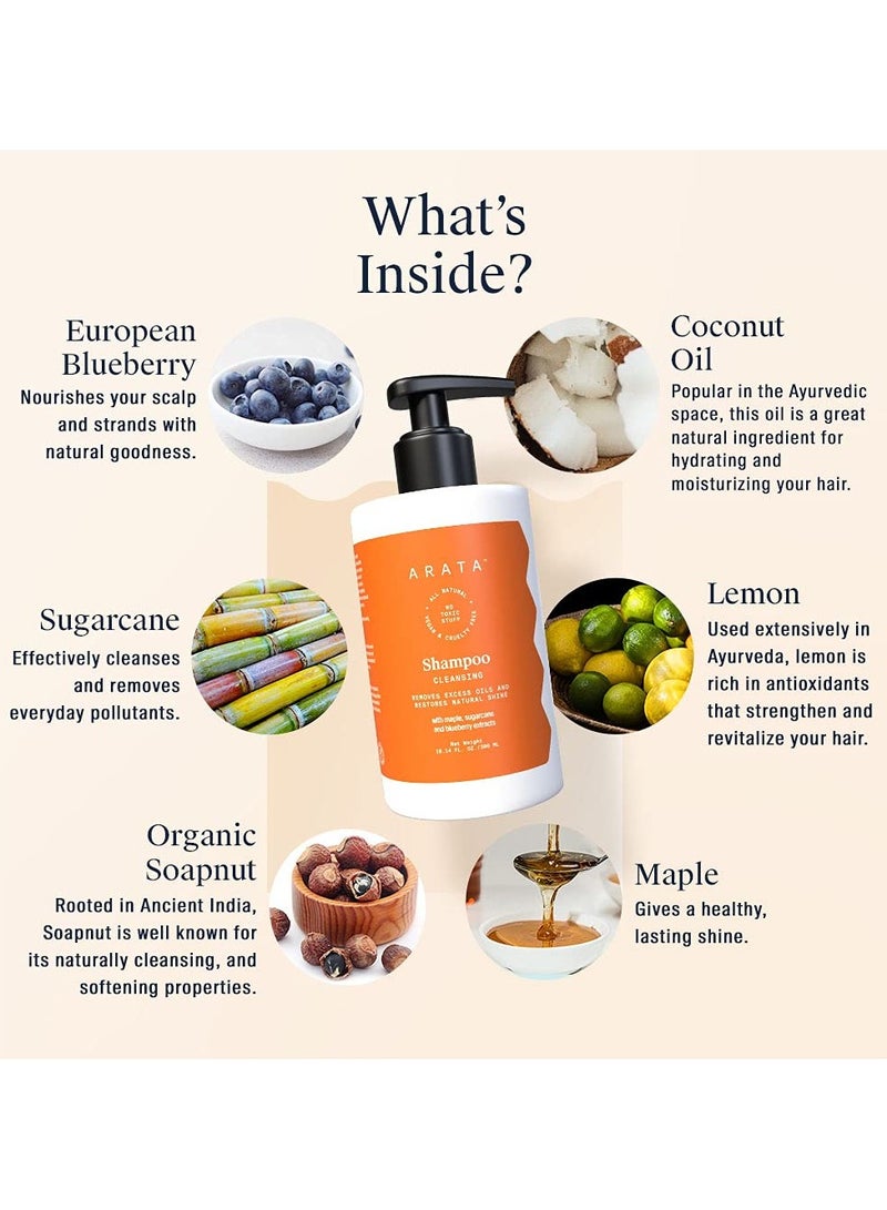 أراتا شامبو التحكم في الزيت الطبيعي مع مستخلصات القيقب وقصب السكر والتوت للنساء والرجال | طبيعية ونباتية وخالية من القسوة، 300 مل - Image 3