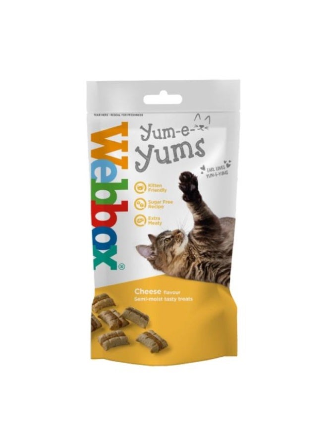 Cat Treats Cheese - 40g
