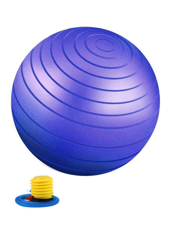 TOMSHOO Anti-Burst Yoga Ball With Hand Pump - Image 1