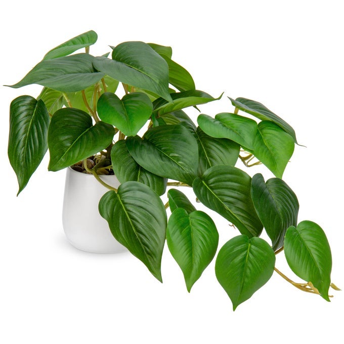 ARTIFICIAL PLANTS IN CERAMIC POTS FAKE JADE POTHOS DECORATIVE FAUX POTTED PLANTS REALISTIC HOUSE PLANT INDOOR FOR HOME DCOR BATHROOM LIVING ROOM KITCHEN SHELF OFFICE DECORATIONS