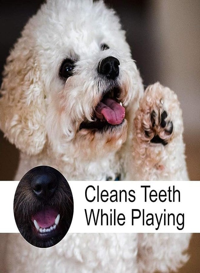 D&C PAWS Durable Natural Rubber Long Chew Bone Toy Ideal for Aggressive Chewers Dogs and Puppies White Bone Shape Chew Toy for Dogs Training & Play - Image 4