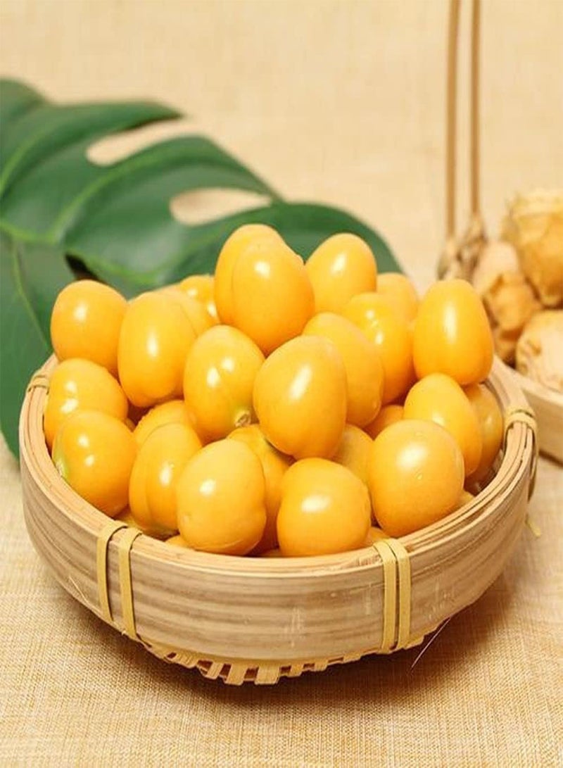 GGOOT 100Pcs Physalis Peruviana Seeds Juicy Fruits Grown in The Home Garden Natural Growth Easy to Manage Suitable for Novice Gardener - Image 1