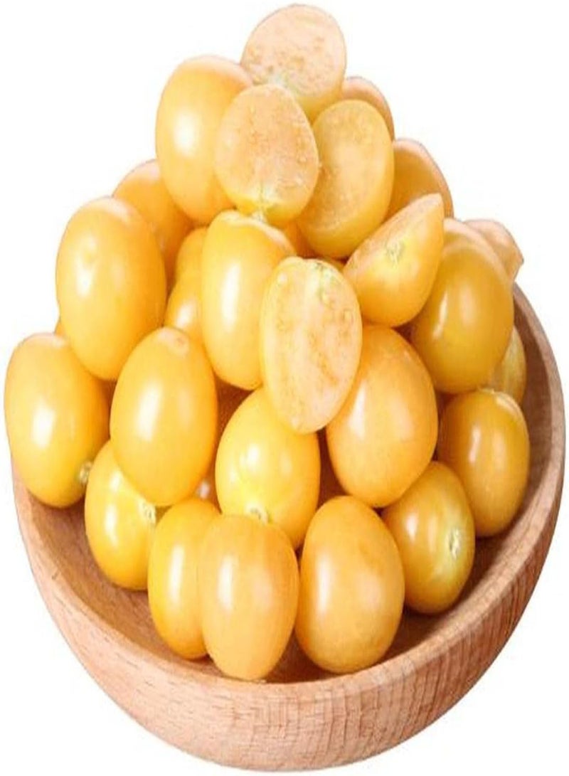 GGOOT 100Pcs Physalis Peruviana Seeds Juicy Fruits Grown in The Home Garden Natural Growth Easy to Manage Suitable for Novice Gardener - Image 3