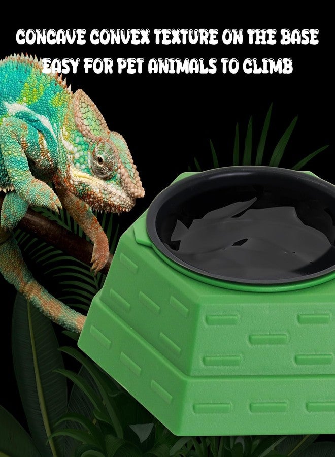 APlayfulBee Reptile Feeder Bowl Worm Dish Anti-Escape Food Dish Bowl with 2PCS Feeding Box, Food Water Feeder for Crested Gecko Lizard Chameleon Pets, Reptile Terrarium Tank Accessories (S) - Image 5