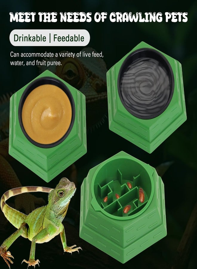 APlayfulBee Reptile Feeder Bowl Worm Dish Anti-Escape Food Dish Bowl with 2PCS Feeding Box, Food Water Feeder for Crested Gecko Lizard Chameleon Pets, Reptile Terrarium Tank Accessories (S) - Image 4