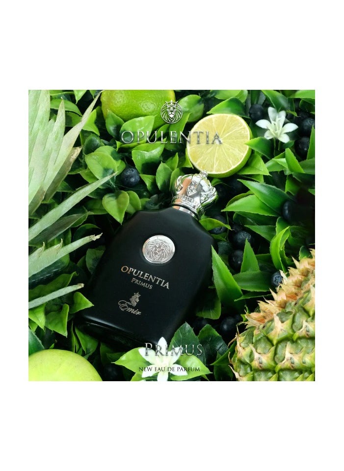 Emir - Opulentia Primus EDP For Men 100ml - Image 1