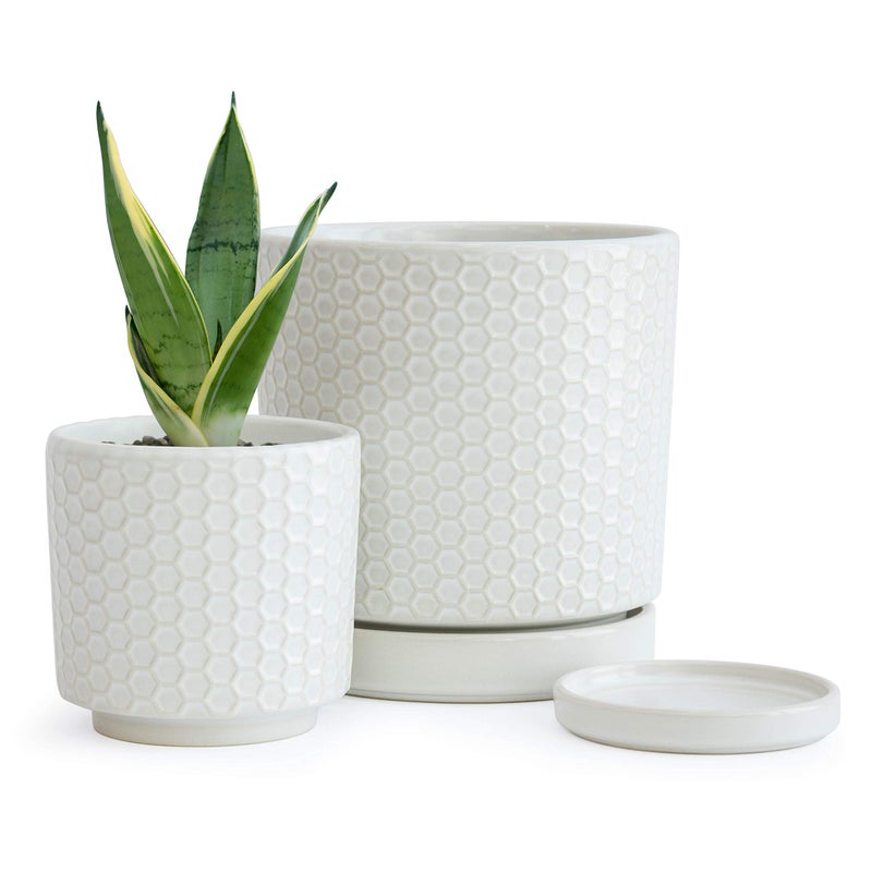 Dvine Dev Set of 2 Modern Matte White Honeycomb Embossed Ceramic Planter Pots with Saucer and Drainage Hole 4 Inch 6 Inch 99C1N