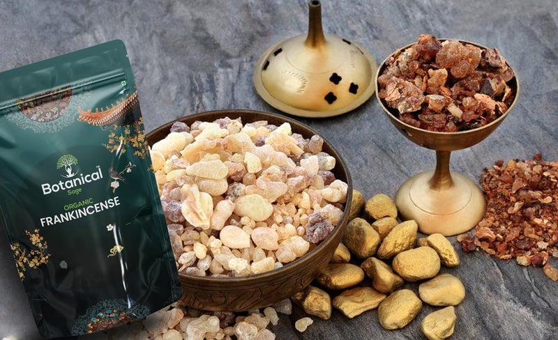 Botanical Sage- Frankincense Resin (100G) | Monastery Incense | Olibanum | Boswellia Carterii | frankincense Tears | Pure Frankincense Granules | | Organic Premium Incense | Selected | Extra Cleaned - Image 3