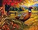 Springbok Golden Fields Pheasant 500 Piece Jigsaw Puzzle for Adults Pheasant in a Fall Scene Unique Cut Pieces Made in USA - Image 2