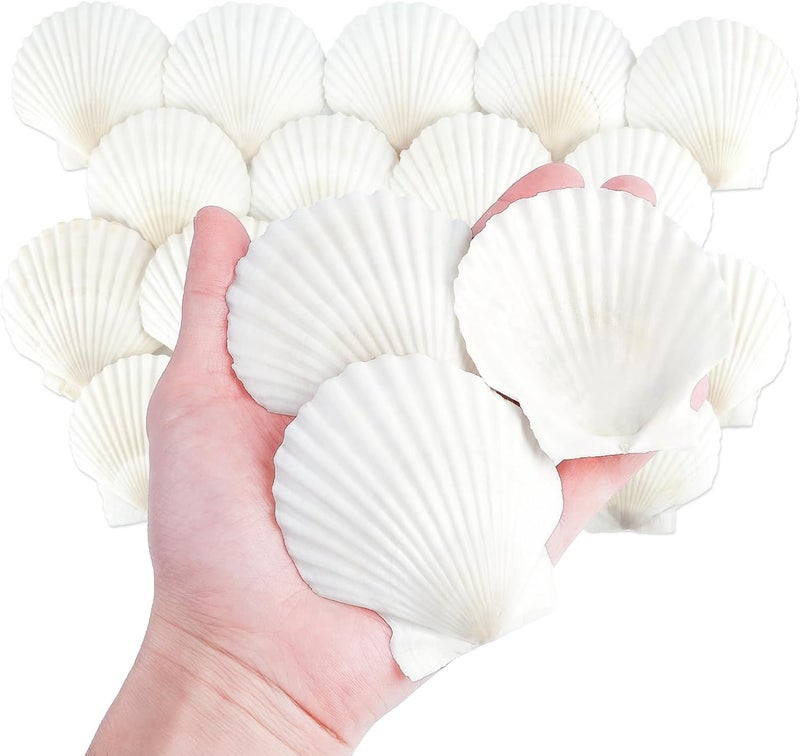 Mkobon 20 PCS Natural Scallop Shells for Crafts, Seashell Decor for Home, Sea Shells for Decorating, DIY, Painting, Baking, Beach Wedding Decorations - Image 1