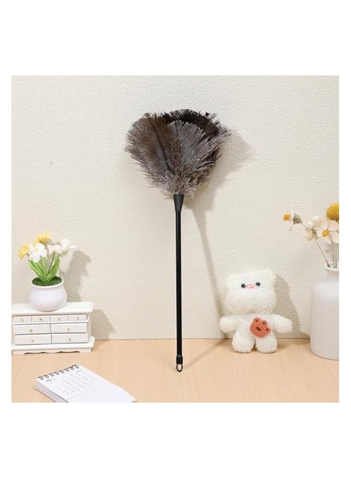 Green Tiger Ostrich Duster Feather Dusters Fluffy Natural Ostrich Cleaning Brush Tool Duster Cleaning Supplies for Home Office Clean - Image 1