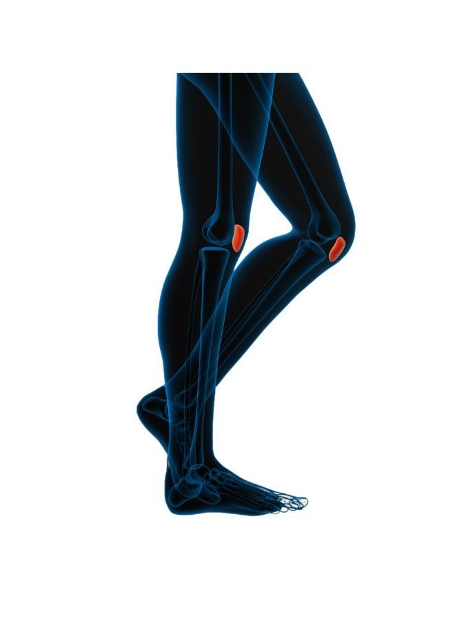 move Move® Patella Strap Brace – Knee Cap Stabilizer – MV034  - Image 3