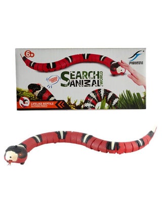 Cat Dog Electric Induction Obstacle Avoidance Cockroach Children Interactive Ladybug Remote Control Mouse Reptile Toy-Color:Induction Snake - pzsku/Z5681CCA1FF8CB9E4CDA2Z/45/1745474481/ce1cc0ed-04e8-439b-b697-01d7372a2e4c