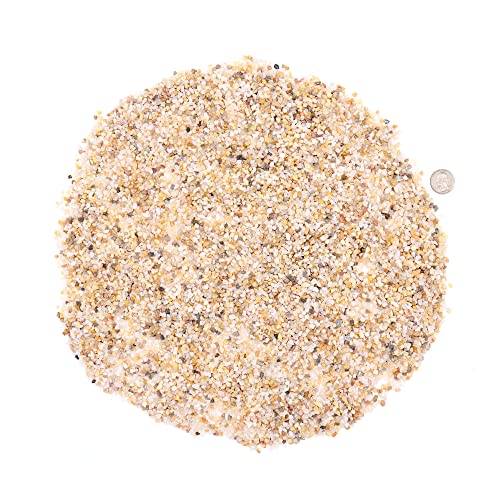 Premium Pebbles Coarse Sand. Golden Color. 1/8 Inch 2 lbs. for Potting Soil, Succulents, Pots, Plants, Gardening, Indoor, Crafting, Vase Fillers (X-Mini (0.125 Inch), COARSE Sand - Golden, 2) - Image 5