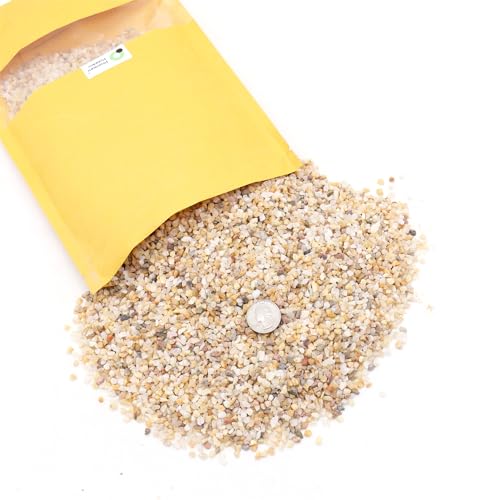 Premium Pebbles Coarse Sand. Golden Color. 1/8 Inch 2 lbs. for Potting Soil, Succulents, Pots, Plants, Gardening, Indoor, Crafting, Vase Fillers (X-Mini (0.125 Inch), COARSE Sand - Golden, 2) - Image 2