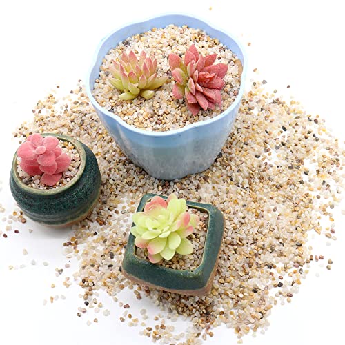 Premium Pebbles Coarse Sand. Golden Color. 1/8 Inch 2 lbs. for Potting Soil, Succulents, Pots, Plants, Gardening, Indoor, Crafting, Vase Fillers (X-Mini (0.125 Inch), COARSE Sand - Golden, 2) - Image 3