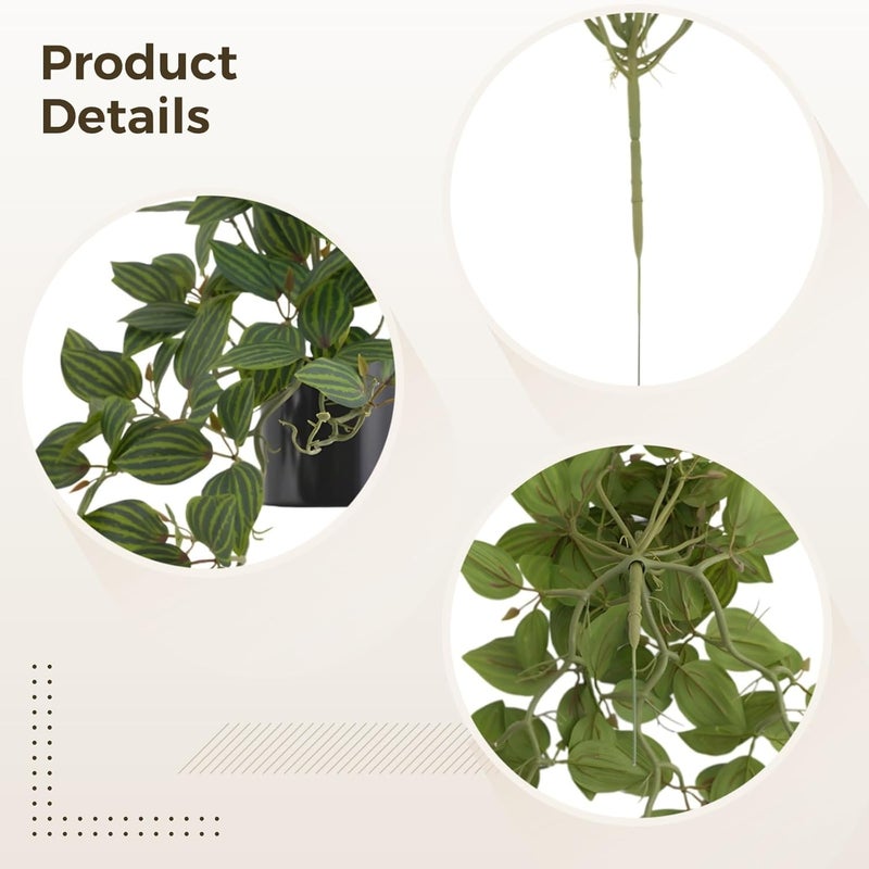 Faux Watermelon Peperomia with Pot, Artificial Silk Draping Plant for Home Decor, Realistic Leaves - Image 2