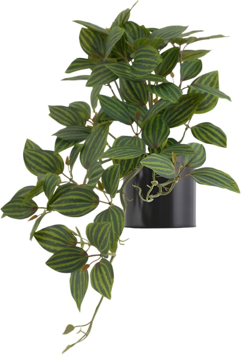Faux Watermelon Peperomia with Pot, Artificial Silk Draping Plant for Home Decor, Realistic Leaves - Image 1