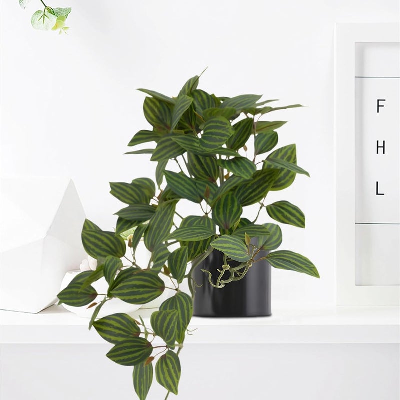 Faux Watermelon Peperomia with Pot, Artificial Silk Draping Plant for Home Decor, Realistic Leaves - Image 5