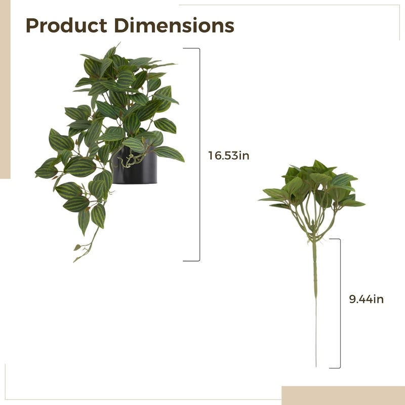 Faux Watermelon Peperomia with Pot, Artificial Silk Draping Plant for Home Decor, Realistic Leaves - Image 3