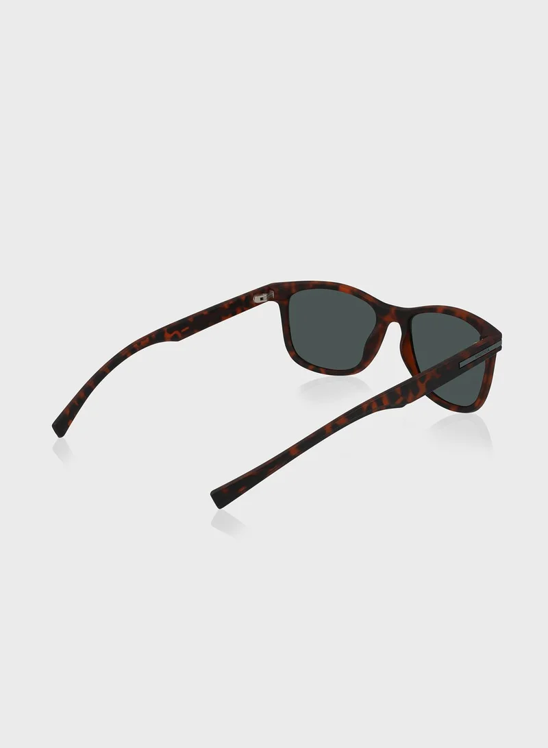NAUTICA N3661Sp Wayfarers Sunglasses