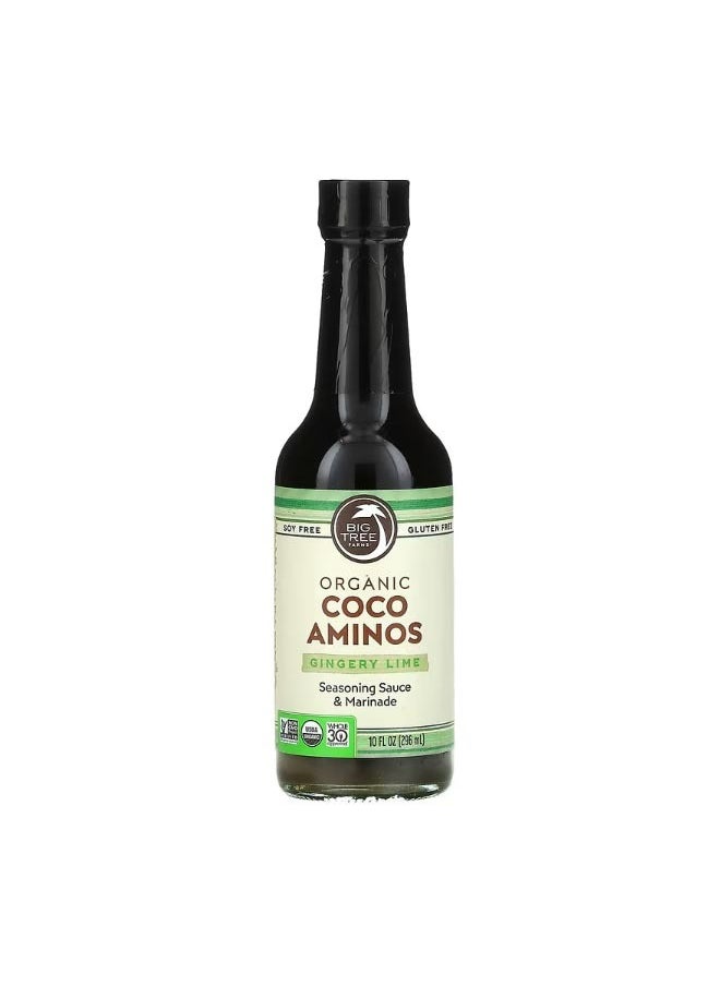 BIG TREE FARMS - Organic Coco Aminos Seasoning Sauce And Marinade Gingery Lime 10 fl oz 296 ml - Image 1