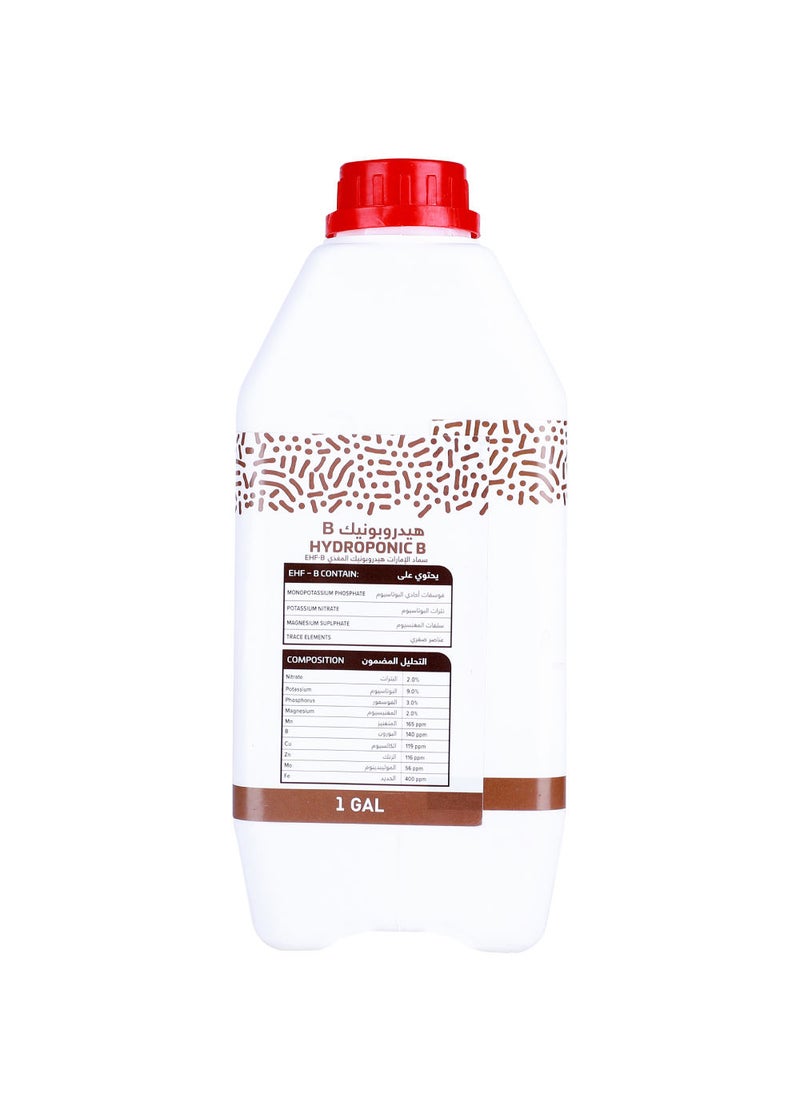 EMIRATES BIOFERT Emirates Biofert Hydroponic B Specialized Liquid Fertilizer for Production of Vegetables and Flowers 3.8L  - Image 4