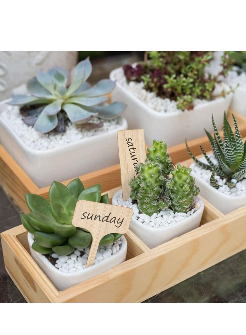 SYOSI Bamboo Plant Labels, T-Type Wooden Sign Tags, Garden Markers for Seed Potted Herbs Flowers Vegetables 3.9 x 2.4 Inch, Plastic Nursery, 50Pcs - Image 3