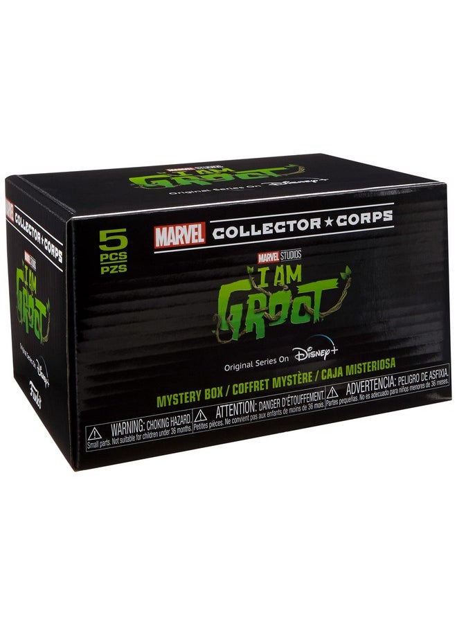 Funko Marvel Collector Corps Subscription Box I Am Groot Disney+ Theme M Multicolor  - Image 1