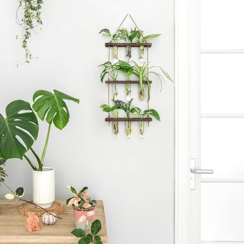 Mkono Plant Propagation Tubes, 3 Tiered Wall Hanging Terrarium with Wooden Stand Flower Vase Test Tube Glass Planter Stations for Hydroponic Cutting Home Garden Office Decor (Brown, Small) - Image 1