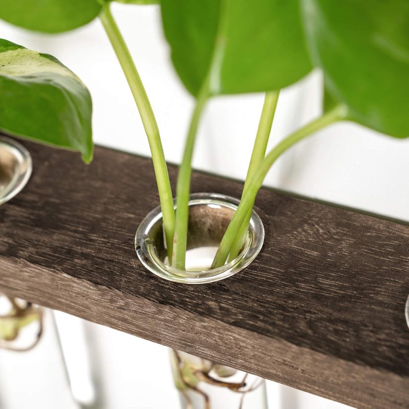 Mkono Plant Propagation Tubes, 3 Tiered Wall Hanging Terrarium with Wooden Stand Flower Vase Test Tube Glass Planter Stations for Hydroponic Cutting Home Garden Office Decor (Brown, Small) - Image 4