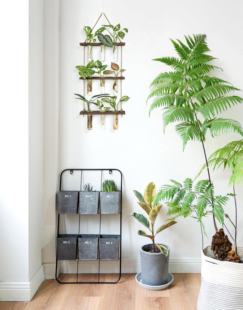 Mkono Plant Propagation Tubes, 3 Tiered Wall Hanging Terrarium with Wooden Stand Flower Vase Test Tube Glass Planter Stations for Hydroponic Cutting Home Garden Office Decor (Brown, Small) - Image 3