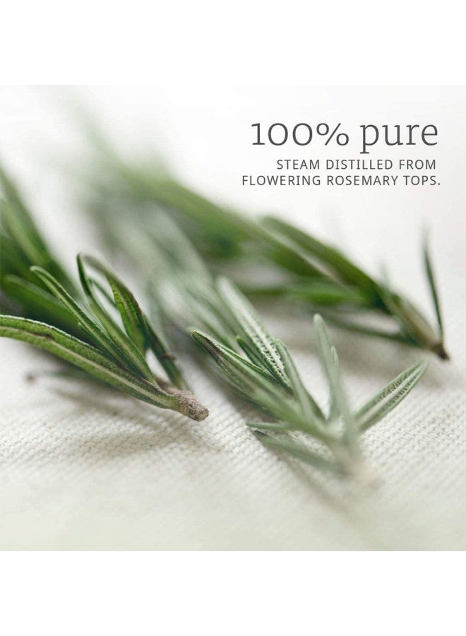 now Essential Oils Rosemary Oil For Aromatherapy 30Ml - Image 5