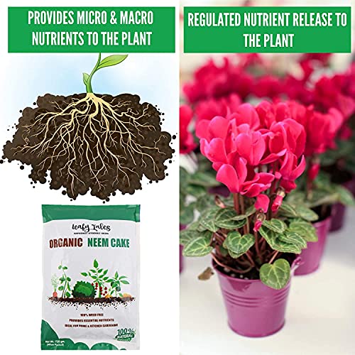 Leafy Tales Organic Neem Cake Powder for Plants 2kg - 100% Natural Neem Khali Fertilizer & Pest Repellent | Soil Conditioner & Growth Booster for Indoor and Outdoor Home Garden - Image 5