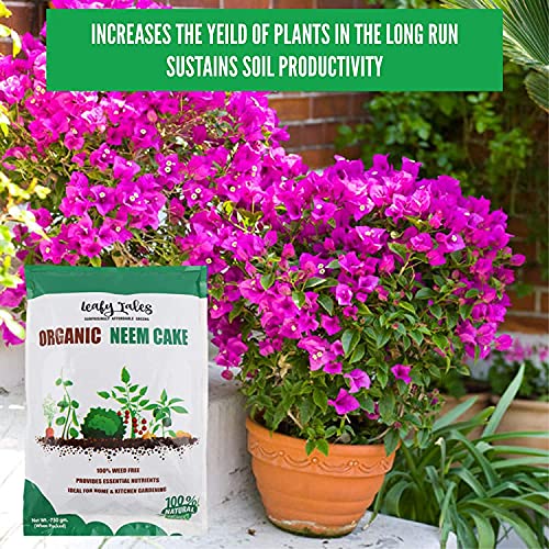Leafy Tales Organic Neem Cake Powder for Plants 2kg - 100% Natural Neem Khali Fertilizer & Pest Repellent | Soil Conditioner & Growth Booster for Indoor and Outdoor Home Garden - Image 4