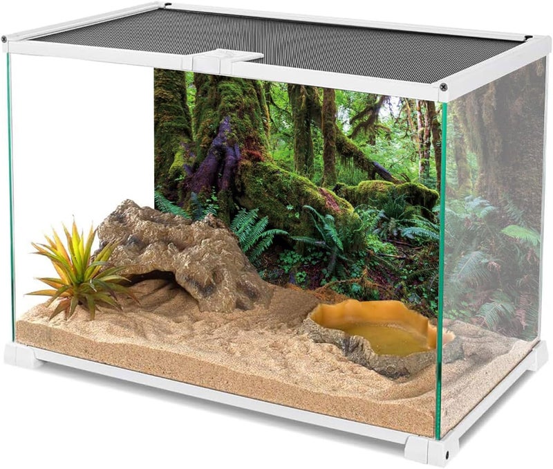 AWERT 36x18 inches Tropical Forest Terrarium Background Green Huge Tree Reptile Habitat Background Rainforest Aquarium Background Durable Polyester Background - Image 3
