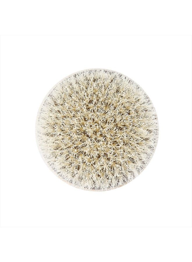 Ecotools Dry Body Brush, For Post Shower & Bath Skincare Routine, Removes Dirt & Promotes Blood Circulation, Helps Reduce Appearance of Cellulite, Eco-Friendly, Vegan & Cruelty-Free, 1 Count - Image 2