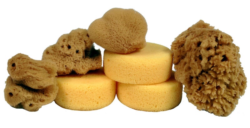 Creative Hobbies® Synthetic and Natural Silk Sponges for Painting, Crafts, Ceramics, Pottery and More, Value Pack of 7 Sponges - Image 4