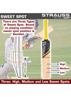 STRAUSS Cricket Bat | Edition: Champion | Kashmir Willow | Size: 5 | Tennis & Synthetic Ball Cricket Bat | Tennis Cricket Bat  - Image 5