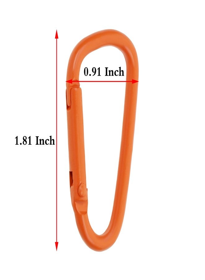 Mini Skater 1.8 Inch Coated Small Keychain Clip Spring Snap Hook Aluminum Alloy D Ring for Keys Backpack Dog Leashes Hiking Camping Outdoor Activities,12 Pcs (Multi Colored) - Image 2