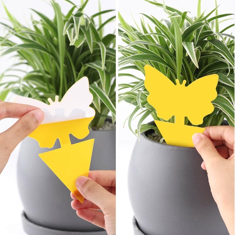 Garsum Fruit Fly Sticky Trap for Indoor and Outdoor, Fungus Gnat Killer for Houseplant,Mosquitos, Flying Insect, White Flies, 120 Pack - Image 4