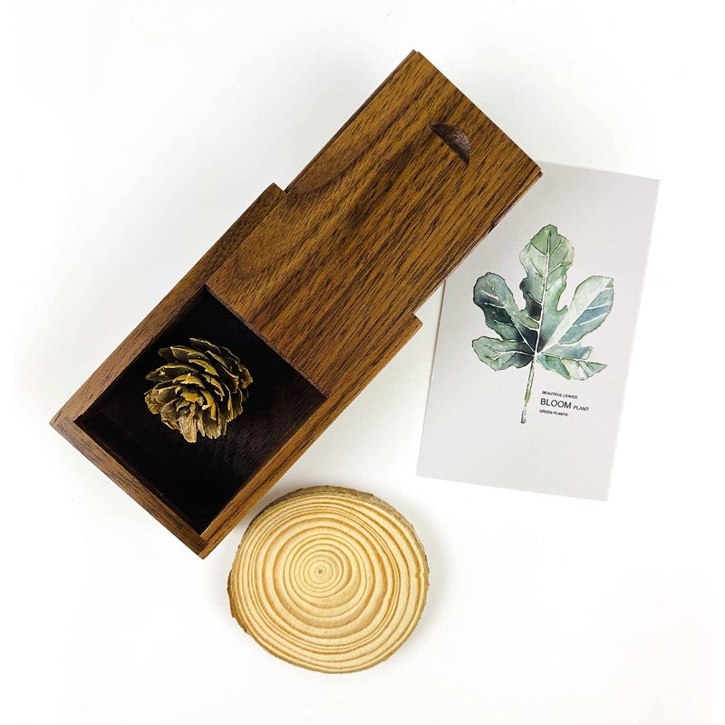 JBOS Wood Gift Box with Sliding Top, Discrete Sliding-Lid Wooden Boxes USB Box for Friends/Business Partners/Photographers/Clients (Walnut Wood, 3.15x2x0.98inch) - Image 2