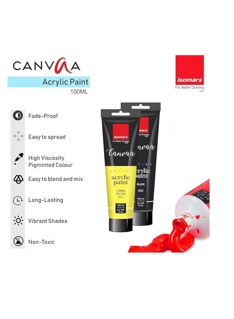 Isomers Isomars CANVAA Black & White Acrylic Paint Combo - 100ml - ARTIST SERIES - Image 2