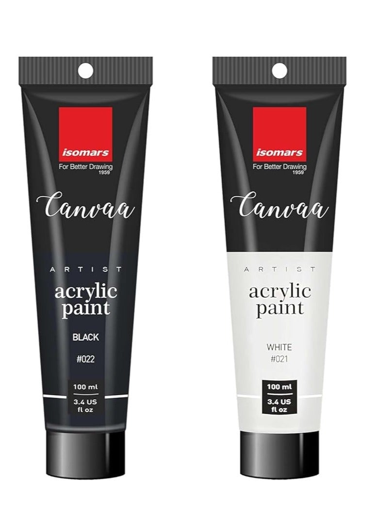 Isomers Isomars CANVAA Black & White Acrylic Paint Combo - 100ml - ARTIST SERIES - Image 1