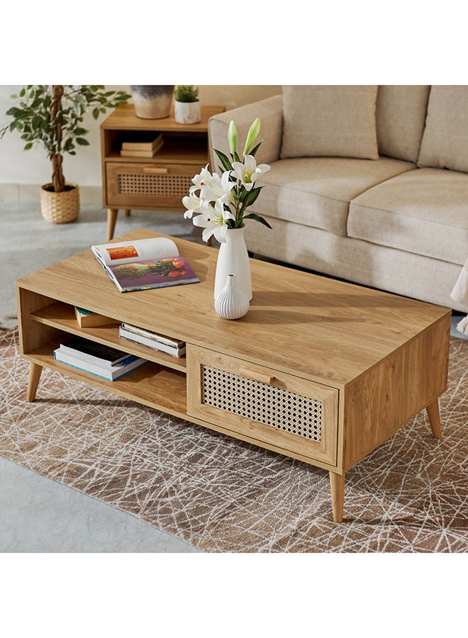 Home Box Nordic Rattan Coffee Table 54x45x120 cm  - Image 1